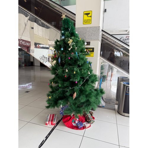 Picture taken on December 11, 2025