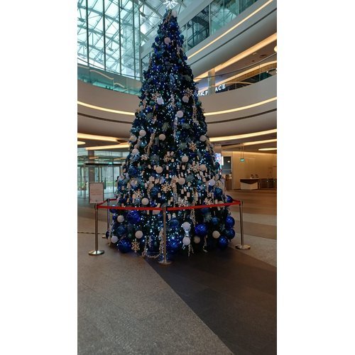 Picture taken on December 14, 2025