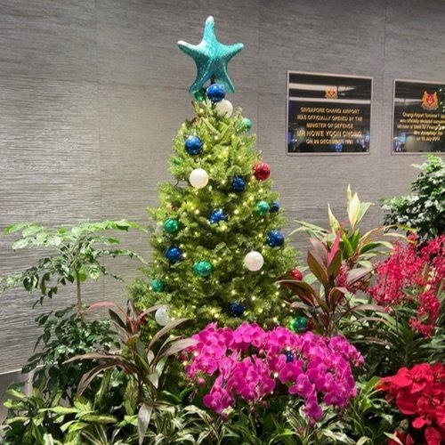 Picture taken on December 15, 2025