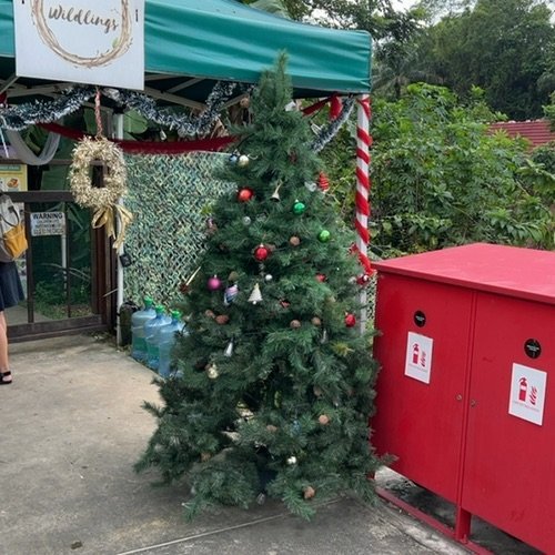 Picture taken on December 19, 2025