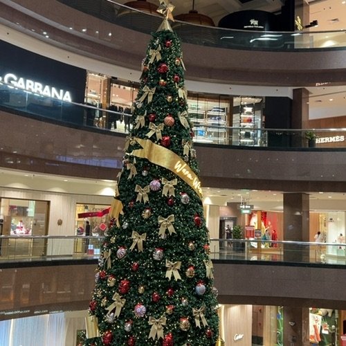 Picture taken on December 20, 2025