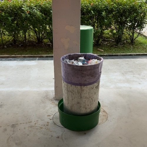 Picture taken on January 12, 2026